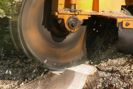 Stump Grinding