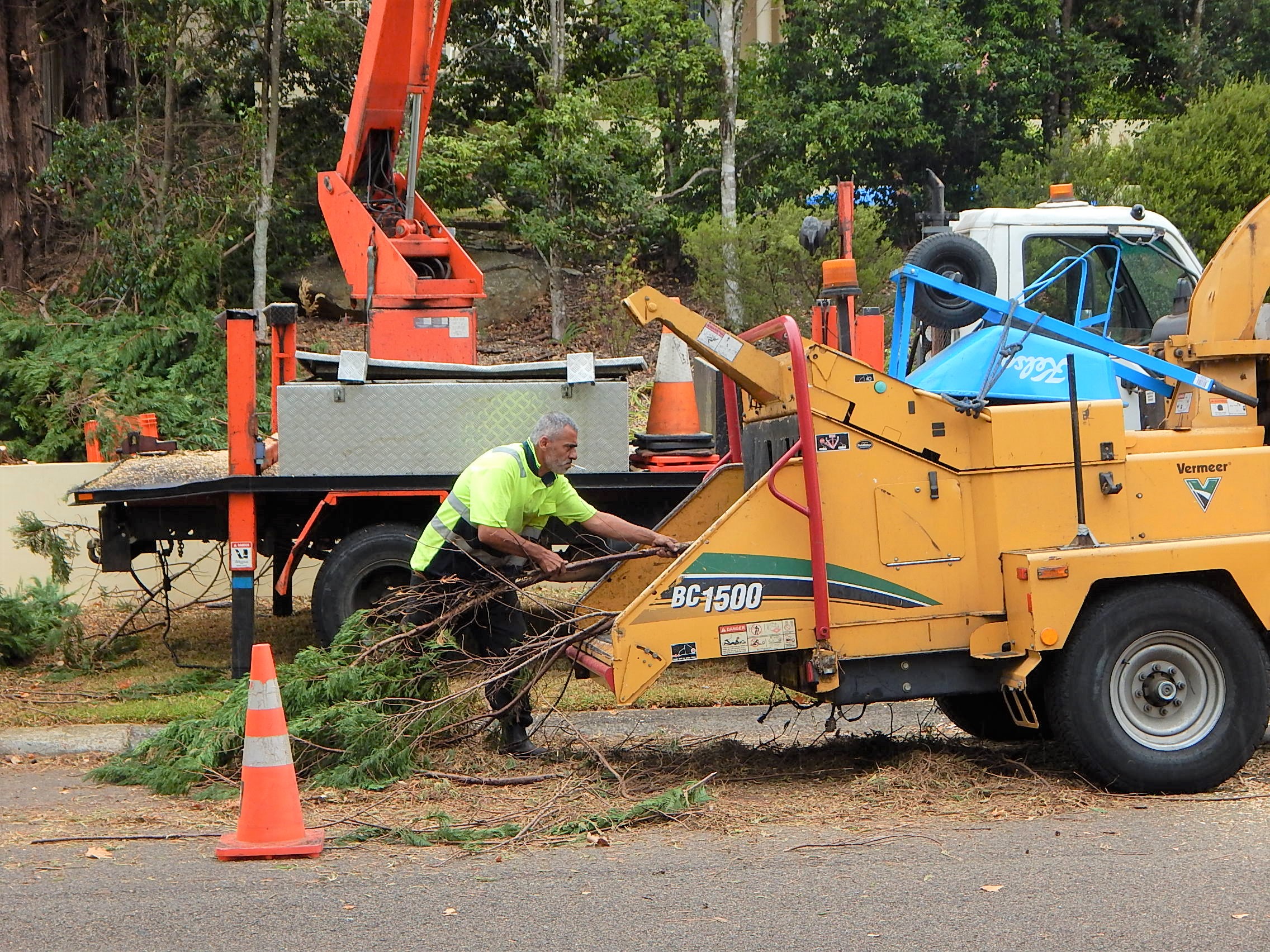 Tree lopping Sydney