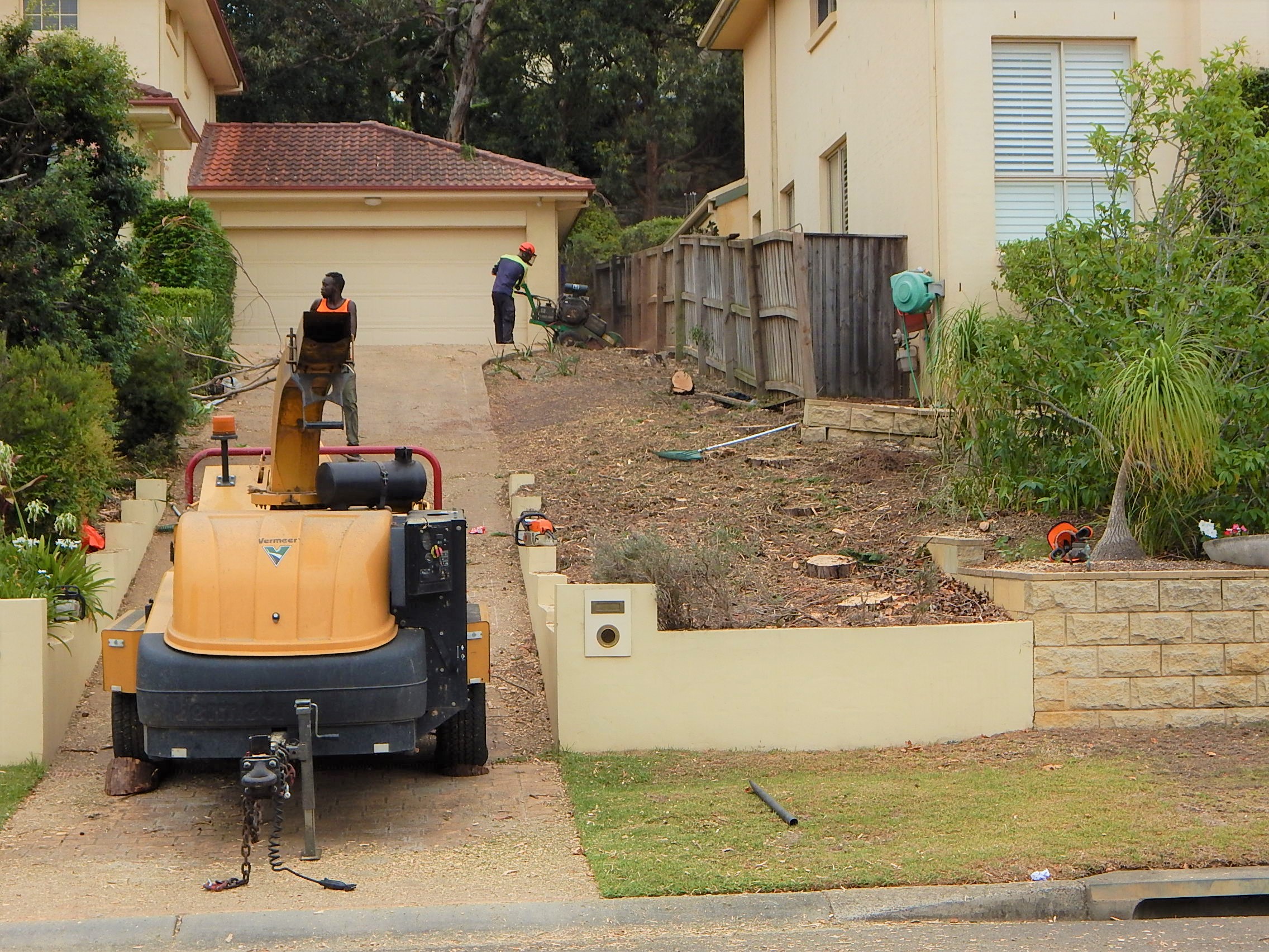 Tree lopping Sydney