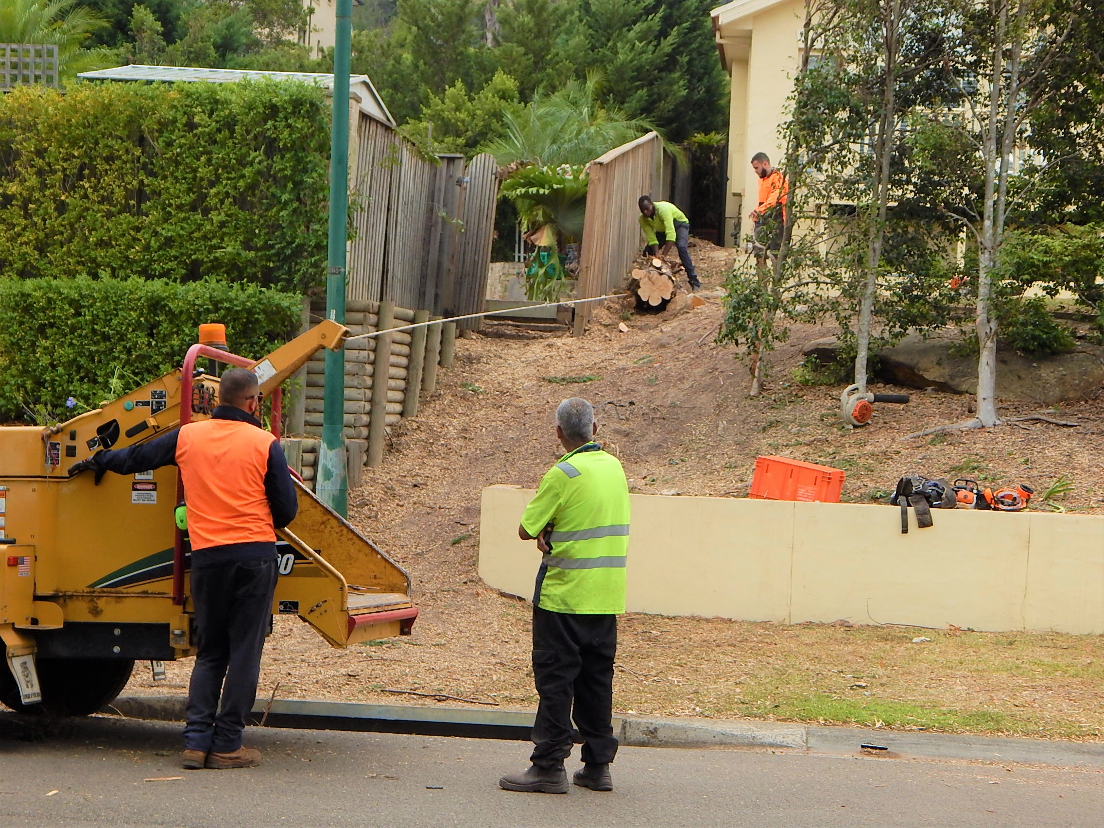 Tree lopping Sydney